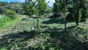 dji_fly_20230930_090416_0126_1696086896822_photo