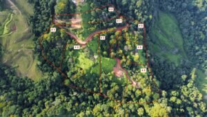 dji_fly_20240425_071542_836_1714050950551_photo_optimized