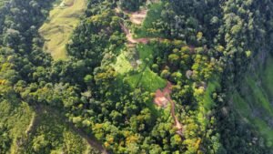 dji_fly_20240425_072522_842_1714051550904_photo_optimized