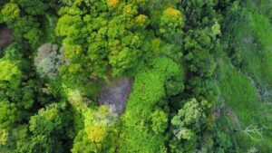 dji_fly_20240425_075812_850_1714053515362_photo_optimized