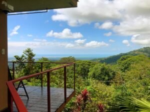 20231121_172326161_iOS