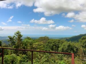 20231121_172337543_iOS