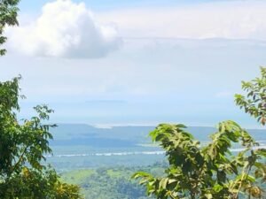 20231121_172353447_iOS