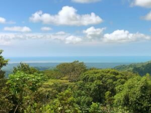 20231121_172357511_iOS