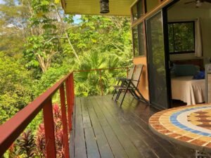 20231121_172525791_iOS