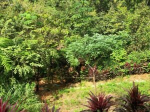 20231121_172631022_iOS