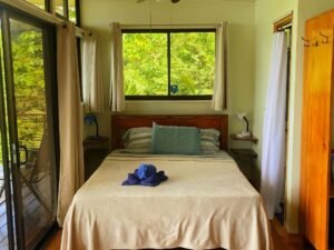 20231121_172707439_iOS