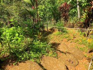 20231121_174611781_iOS