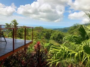 20231121_174901769_iOS