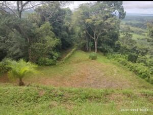 2aae2667-c598-4833-839e-34b720202b5a