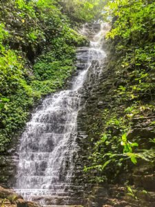 6F66D8E9-5C57-4886-9A08-70E09F076EE2