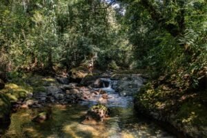 Brisas del Paraiso -47-2