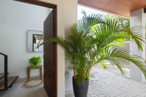 CocoUvitaCasa1_copy2491r