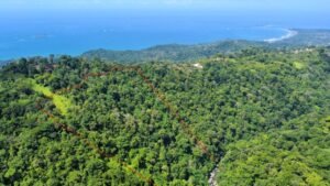 Image 2024-03-22 at 9.33.13 AM