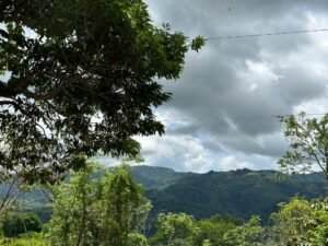 WhatsApp Image 2023-05-31 at 09.33.01