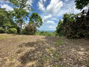 WhatsApp Image 2023-05-31 at 09.33.10 (3)