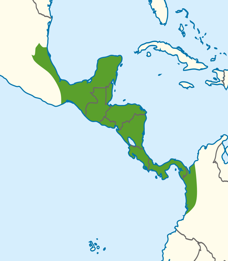 Range of the Boa Constrictor Imperator.