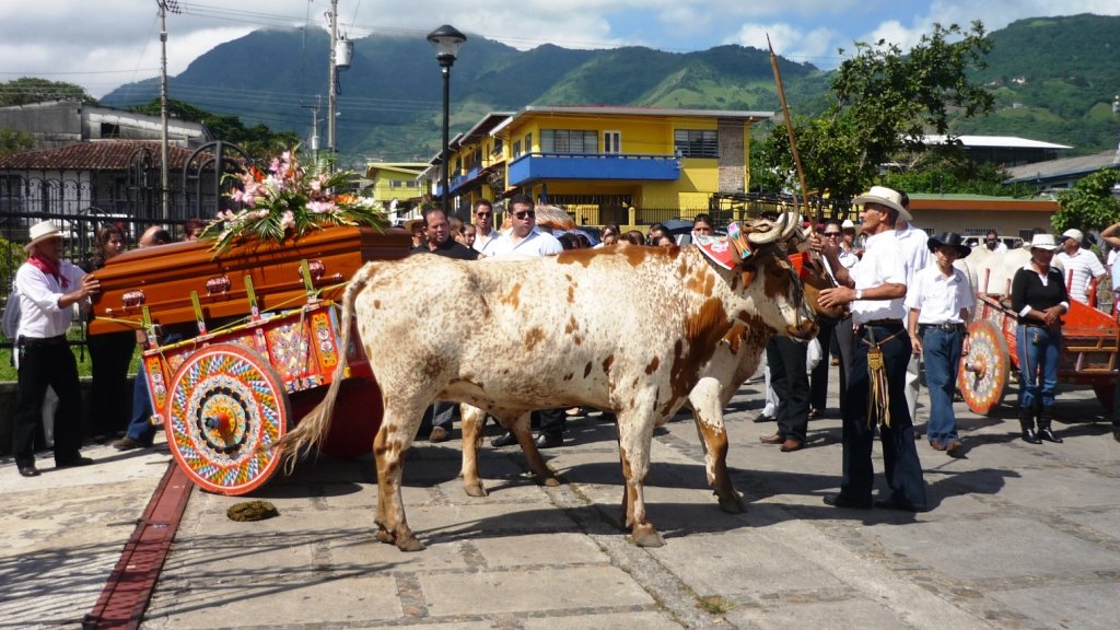 An oxcart being used in a funeral procession. c/o wikicommons.