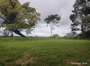 e2f1551f-9558-4316-bd06-a53ab4008804