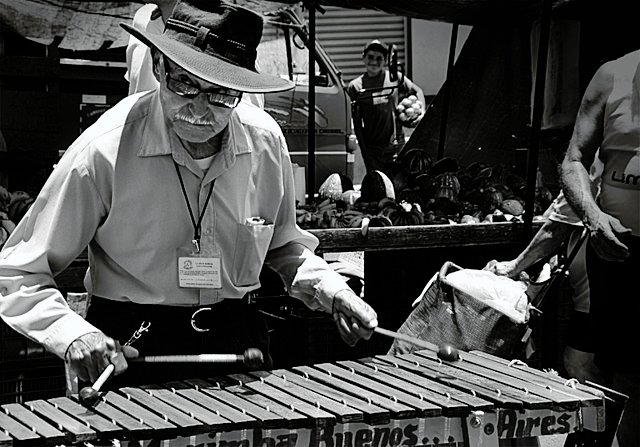 A traditional Marimbista playing the instrument. c/o wikicommons.