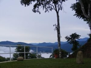 WhatsApp Image 2024-03-08 at 15.03.43_6f1ab95a