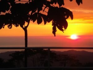 WhatsApp Image 2024-03-08 at 15.03.43_b2e645ee