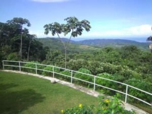 WhatsApp Image 2024-03-08 at 15.03.44_dd293ad9