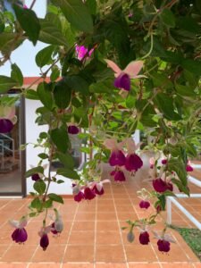 WhatsApp Image 2024-03-17 at 12.17.33_37097b48