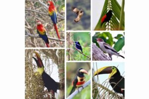 chontales-sdt309 (62)