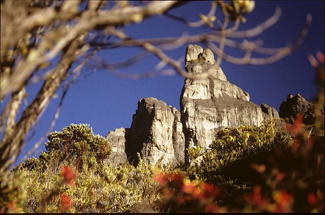 The Crestones are a magnificent rock formation in Chirripó National Park. c/o wikicommons Diego Tirira.