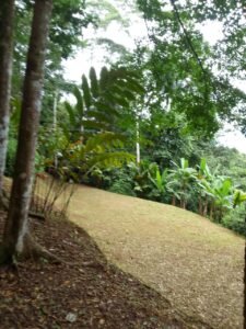 ebHW68msYKnnFB6PibyK1tDOSVox0wL3F7a5jQNezaQ=_plaintext_638583208993896992