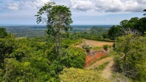 Property For Sale in Ojochal Costa Rica