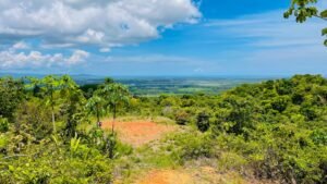 Property For Sale in Ojochal Costa Rica