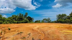 Property For Sale in Ojochal Costa Rica