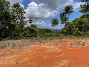 Property For Sale in Ojochal Costa Rica