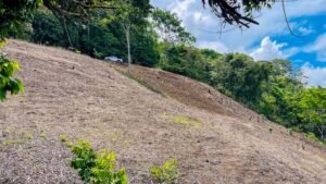 Property For Sale in Ojochal Costa Rica