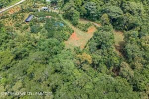 21(1) new small size logo