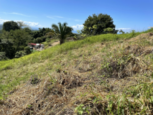 4557 Phase 10 F2 Lot with ocean & mountain view01