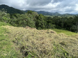 4557 Phase 10 F2 Lot with ocean & mountain view02