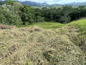 4557 Phase 10 F2 Lot with ocean & mountain view03