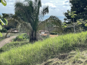 4557 Phase 10 F2 Lot with ocean & mountain view04