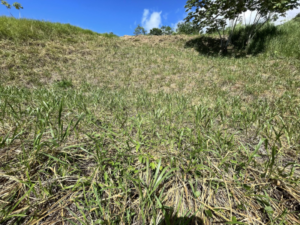 4557 Phase 10 F2 Lot with ocean & mountain view05