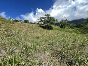 4557 Phase 10 F2 Lot with ocean & mountain view06