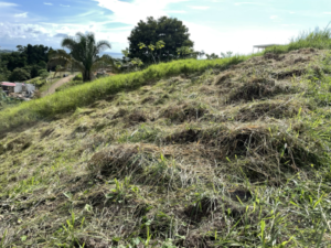 4557 Phase 10 F2 Lot with ocean & mountain view07