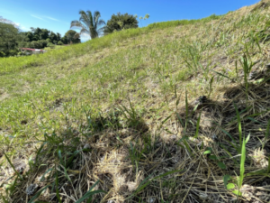 4557 Phase 10 F2 Lot with ocean & mountain view08