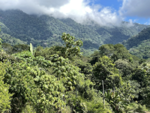 4557 Phase 10 F2 Lot with ocean & mountain view09