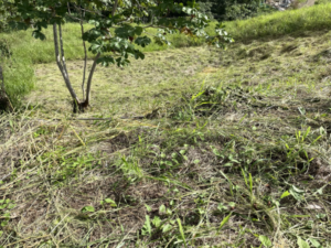 4557 Phase 10 F2 Lot with ocean & mountain view10