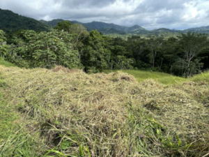 4557 Phase 10 F2 Lot with ocean & mountain view11