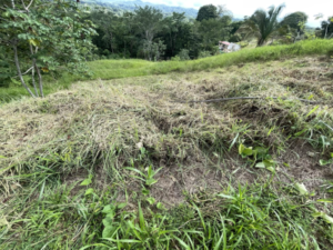 4557 Phase 10 F2 Lot with ocean & mountain view12