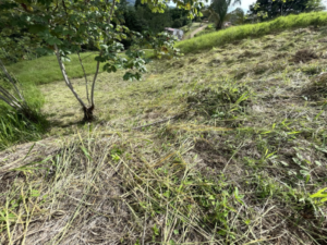 4557 Phase 10 F2 Lot with ocean & mountain view13